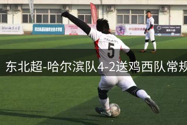 东北超-哈尔滨队4-2送鸡西队常规赛7连败 两队双双无缘淘汰赛